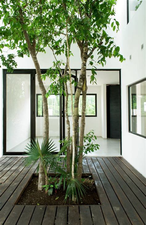 Central Tree Courtyard W41 By Warm Architects Up Interiors Patio