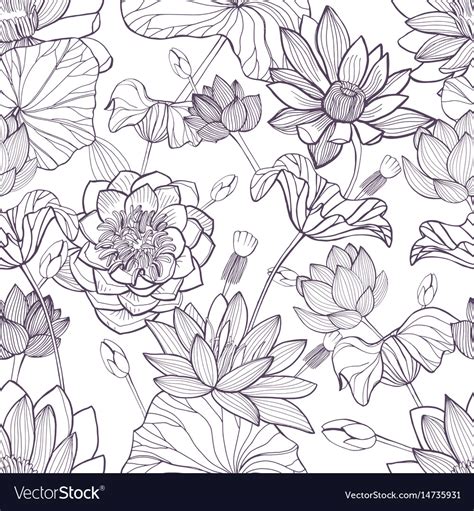 Lotus Floral Seamless Pattern Hand Drawn Vector Image