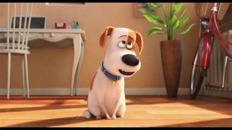 Pets in the city | st. The Secret Life of Pets - Trailer - Own it Now - YouTube