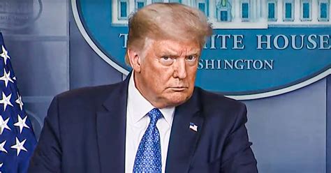 Watch short videos about #faucism on tiktok. Trump Decides That Fascism Is His Official 2020 Platform ...