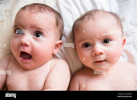 Surprised Faces Of Caucasian Twin Baby Girls Stock Photo Alamy