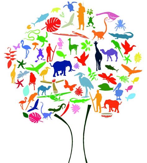 S.O.S. BIODIVERSITY - ITALIANO