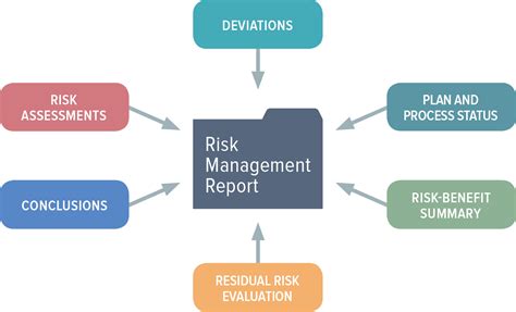 Preparing A Medical Device Risk Management Review And Report