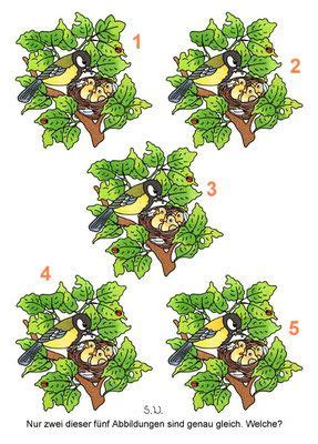 Lst sie ist so einfach und farbe ist doch sehr groß und pra ktisch. Frühlingsrätsel - Bilderrätsel für Kinder in 2020 | Vögel ...