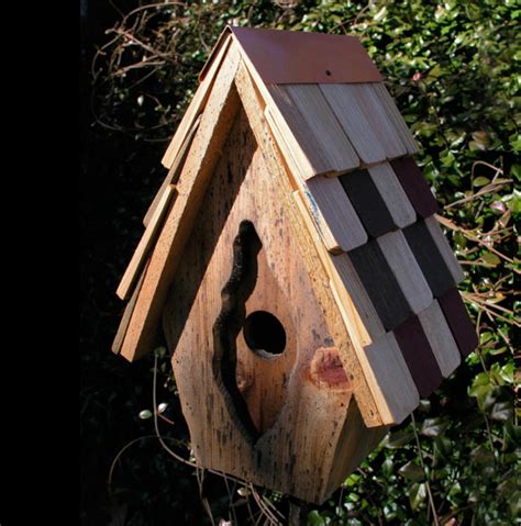 Wild Bird Houses The Backyard Naturalist