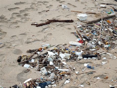 Trash On A Beach Free Stock Photo Public Domain Pictures