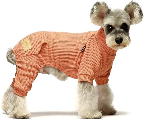Extra Extra Small Dog Clothes