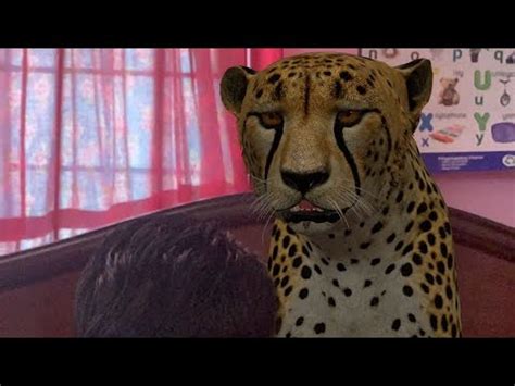 Tiger In 3d Google View - Rizop It looks like a 3d model of a city.