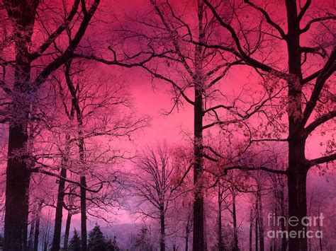 Surreal Fantasy Dark Pink Forest Woodlands Trees With Dark Pink