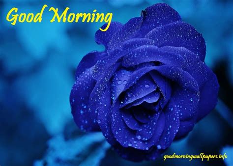 Blue Flower Good Morning Images Best Collection 2023