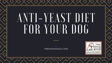 We collect information from many stores for best price available. Anti-Yeast Diet for Your Dog — The Dining Dog and Friends