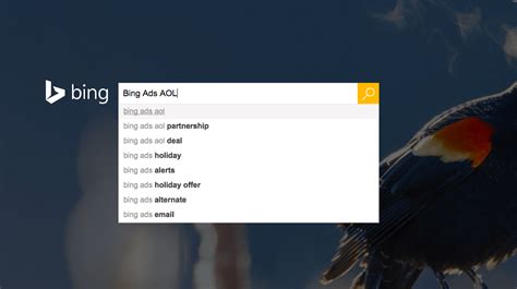 Heres Whats Changing With Bing Ads Now That It Includes Aol