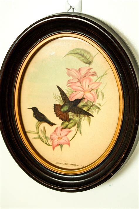 4 Vintage Hummingbird Frame Picture Bird Framed Wall Art Set Etsy