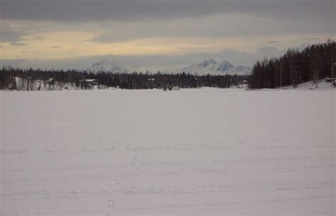 Nancy Lake State Recreation Area Alaska Hike Search