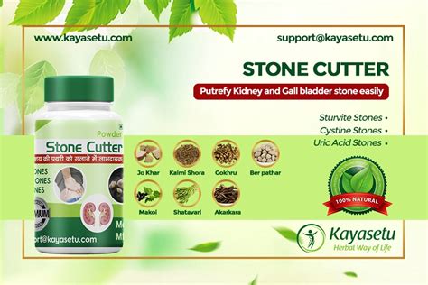 Kayasetu Stone Cutter Ayurvedic Herbal Remedy To Get Rid Of Kidney And