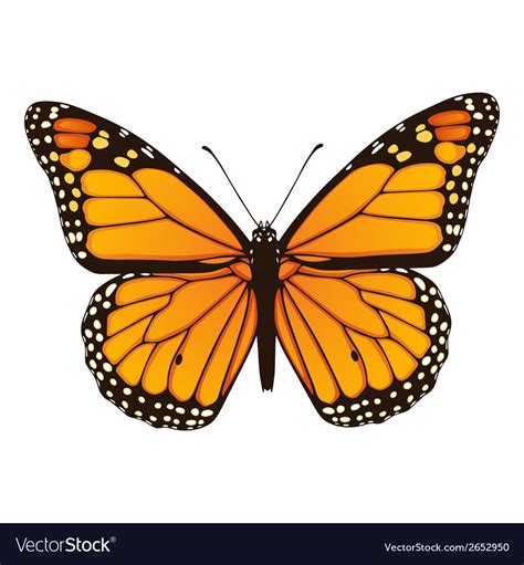 Arriba 104 Foto Imagenes De La Mariposa Monarca Para Dibujar Mirada Tensa