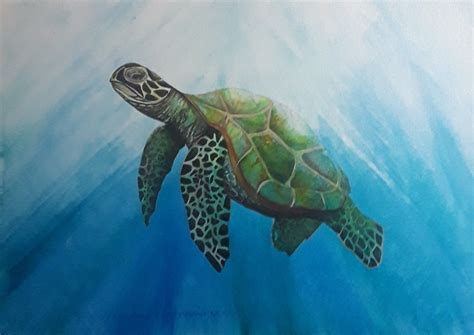 Sea Turtle Turtle Sea Turtle Watercolor