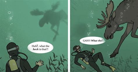 Artist Finds Out That Some Moose Dive So Deep That They Get Killed By