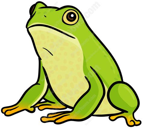 Green Frog Stock Cartoon Graphics Vector Toons