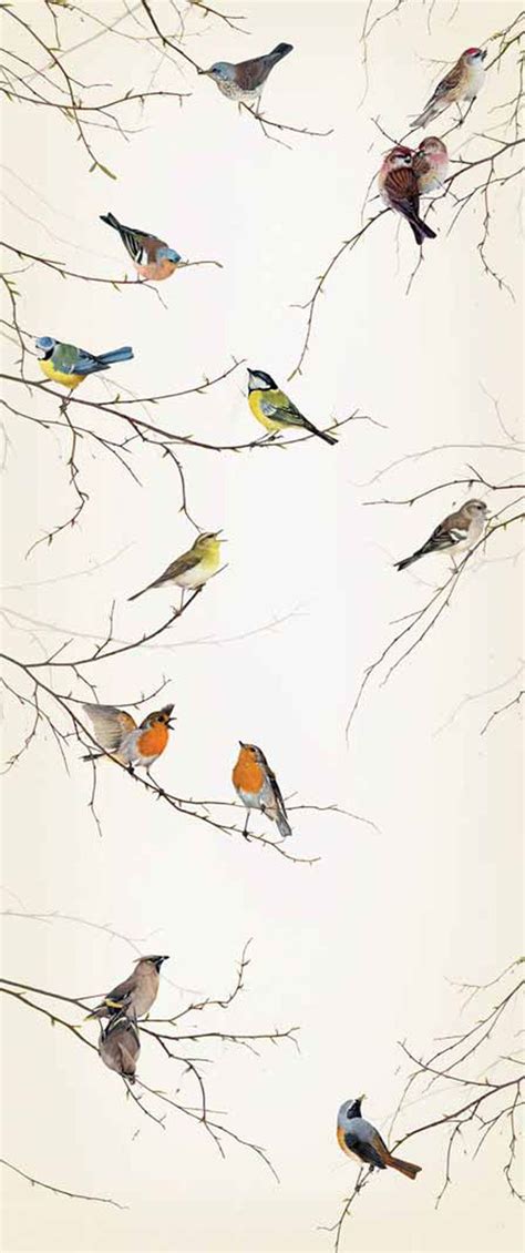 Best 10 Bird Wallpaper Ideas On Pinterest Chinoiserie