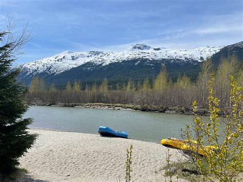 M M Tours Skagway Lo Que Se Debe Saber Antes De Viajar