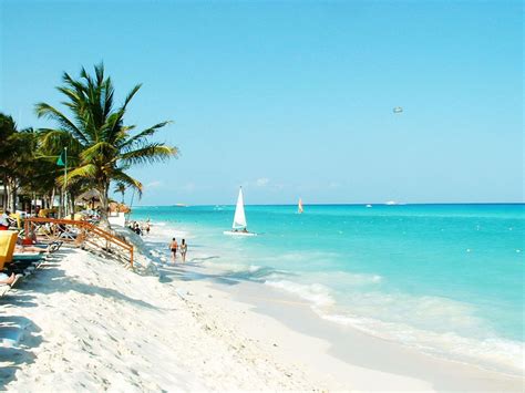 Los Mejores Paseos Para Disfrutar En Playa Del Carmen Y La Riviera Maya