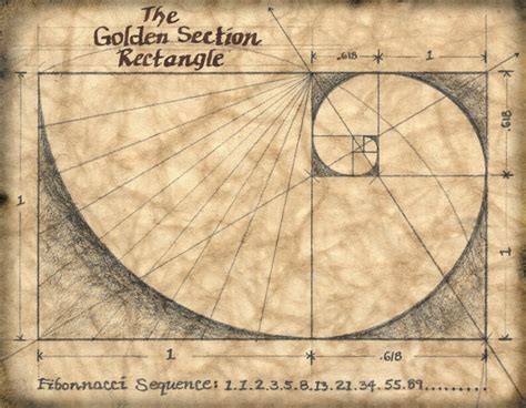 The Golden Section 11 X 14 Art Print Mathematics Fibonacci Etsy