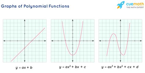 Polynomial Function Graph Definition Formulas Types