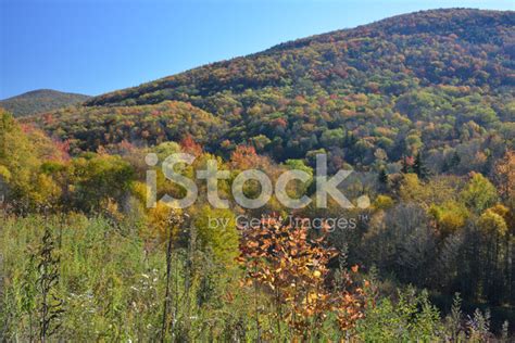 Autumn Scenery In West Virginia Stock Photo Royalty Free Freeimages