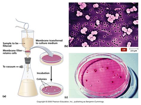 Control Of Microorganisms By Physical Methods Contd