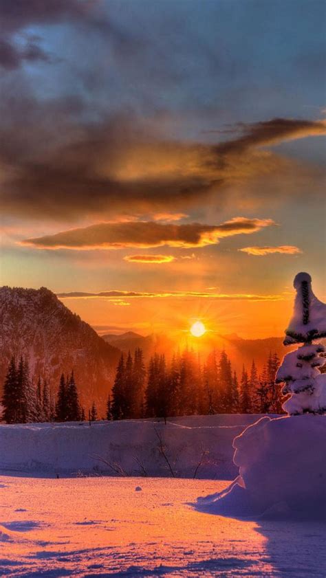 Maybe you would like to learn more about one of these? My iPhone 5 Wallpaper - the one I just liked! | Winter ...