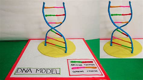 DNA 3D Model Project How To Make Easy DNA Model Easy DNA Model