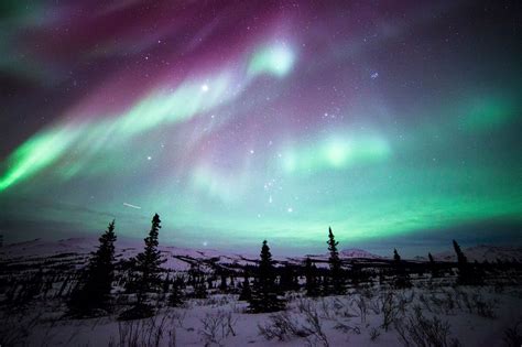 Northern Lights Denali National Park Alaska Photo By Dan Leifheit Northern Lights