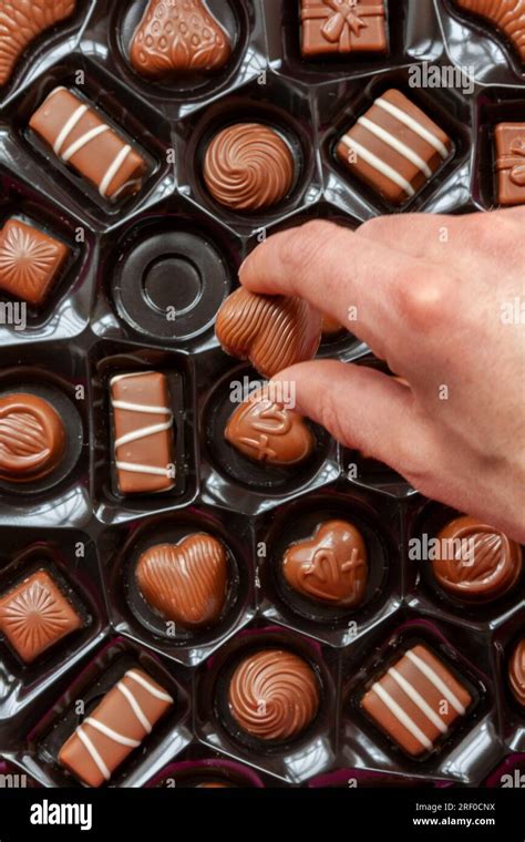 Choosing The First Milk Tray Chocolate Hi Res Stock Photography And