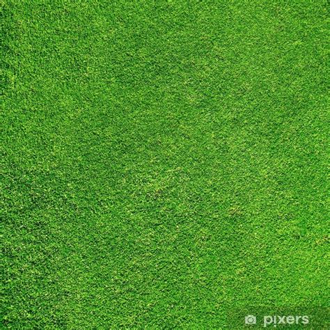 Wall Mural Beautiful Green Grass Texture From Golf Course Pixersnetau