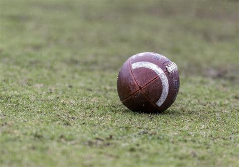 Wilson Football Free Stock Photo Public Domain Pictures