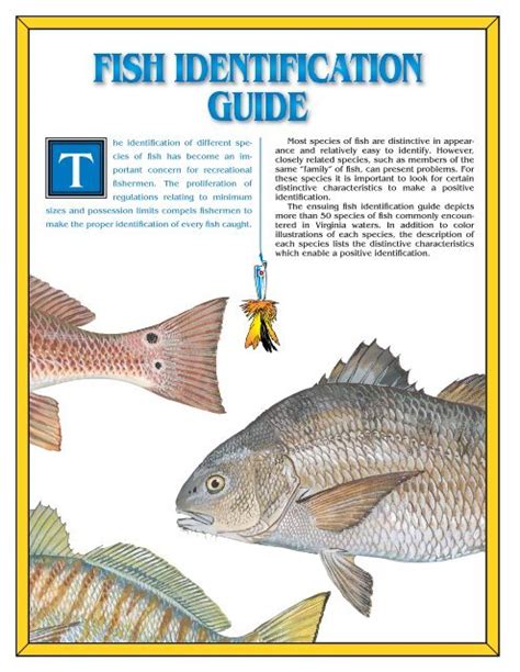 Fish Identification Guide Virginia Marine Resources Commission