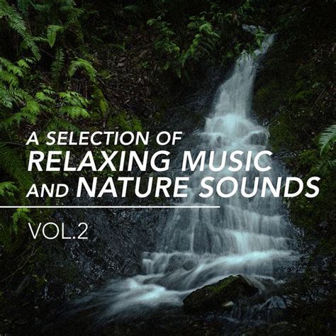 A Selection Of Relaxing Music And Nature Sounds Vol 2 Nature Sounds Sounds Of Nature White