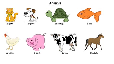 Spanish Animals Teaching Resources