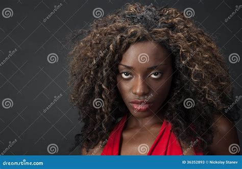 Elegant African Model Stock Image Image Of Face Confident 36352893