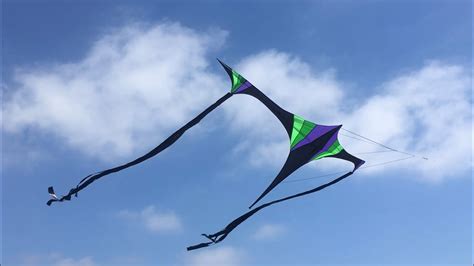 An Intriguing Bird Moonlight Star Kite By Robert Brasington Youtube