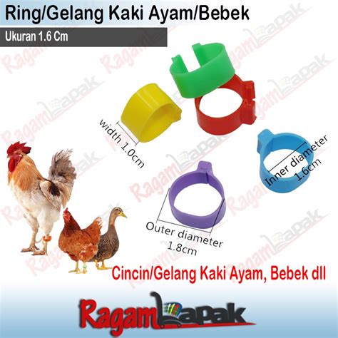 Jual Ring Kaki Ayam Bebek Gelang Kaki Ayam Bebek Shopee Indonesia