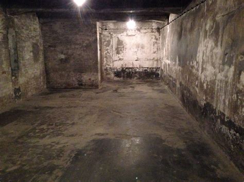Arsen Ostrovsky On Twitter From The Gas Chambers In Auschwitz Where
