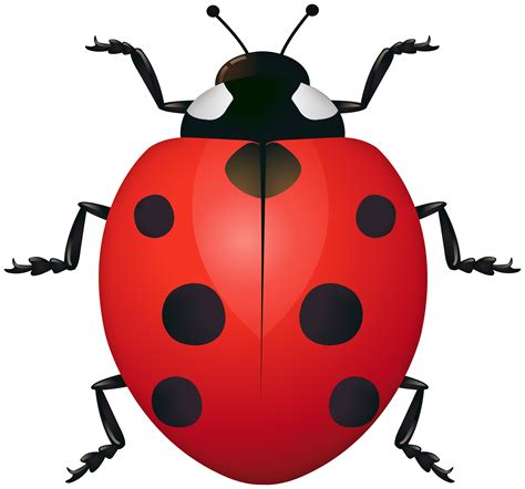 Printable Ladybug Clipart Printable Word Searches