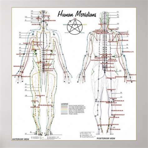 Pressure Point Chart For Human Body