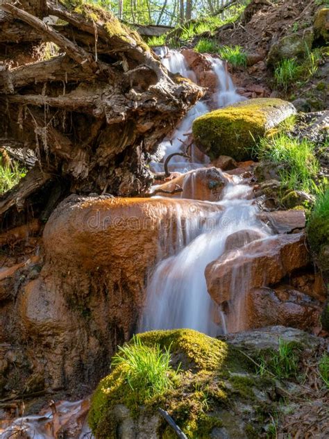 Spring River Waterfall Stones Green Moss And Spring Trees David`s