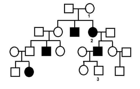 Given Pedigree Chart Depicts The Inheritance Of Attached Ear Lobes An