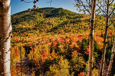 Foliage View From Crawford Notch Road Photograph By Jeff Folger Fine