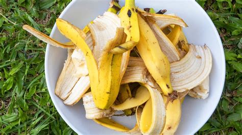 15 Surprising Uses For Bananas And Banana Peels Youtube