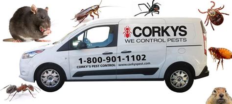 Ultimate Pest Control Service Corkys Pest Control And Termite